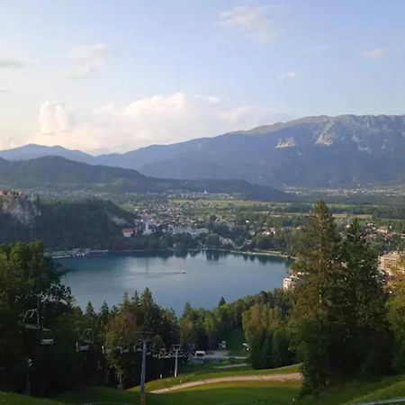 Apartment Mojca Near Bled Zabreznica Экстерьер фото